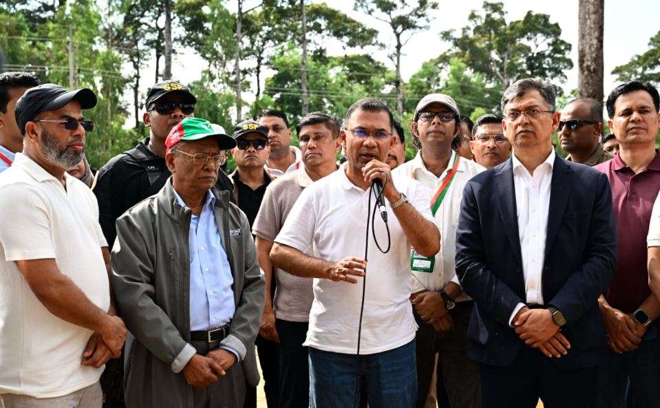 আসুন আমাদের সন্তানদের বুক ভরে শ্বাস নিতে একটি করে গাছ লাগাই : প্রধানমন্ত্রী