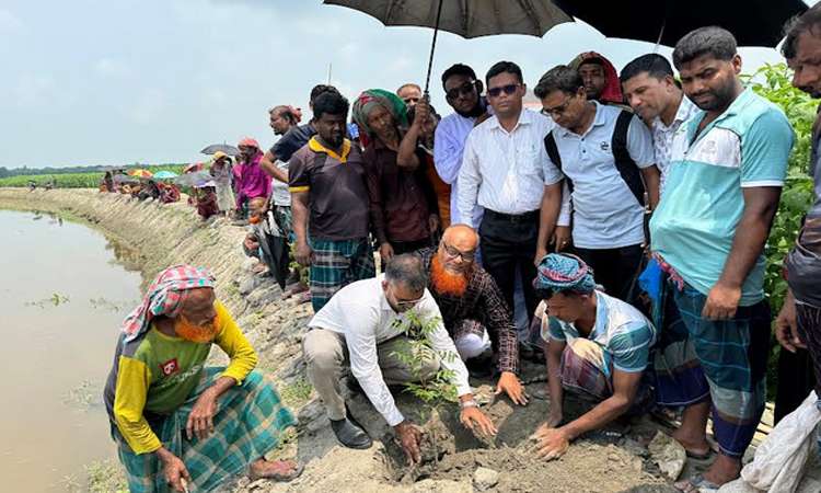 রাজবাড়ীতে ৫ কিলোমিটার খাল খনন ও ২ হাজার বৃক্ষরোপণ কার্যক্রমের উদ্বোধন