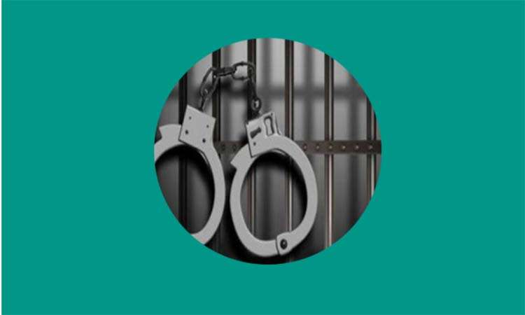 খুলনায় গৃহকর্মী নির্যাতনের ঘটনায় গ্রেপ্তার পুলিশ দম্পতি