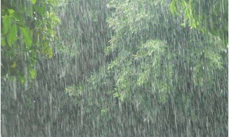 দেশজুড়ে বৃষ্টির আভাস, কমতে পারে রাতের তাপমাত্রা