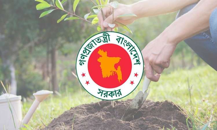 ২৫ কোটি গাছ রোপণ থেকে কার্বন ক্রেডিটে বড় আয়ের সম্ভাবনা বাংলাদেশের