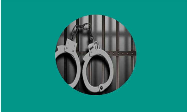 দিনাজপুরে অভিযানে গিয়ার চাকুসহ এক চাঁদাবাজ গ্রেপ্তার