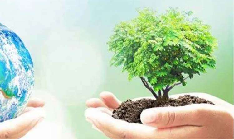 বৃক্ষরোপণে ৫৩ কোটি ৬৬ লাখ টাকার প্রণোদনা, বিতরণ হবে ১৬ লাখ ২৮ হাজার চারা