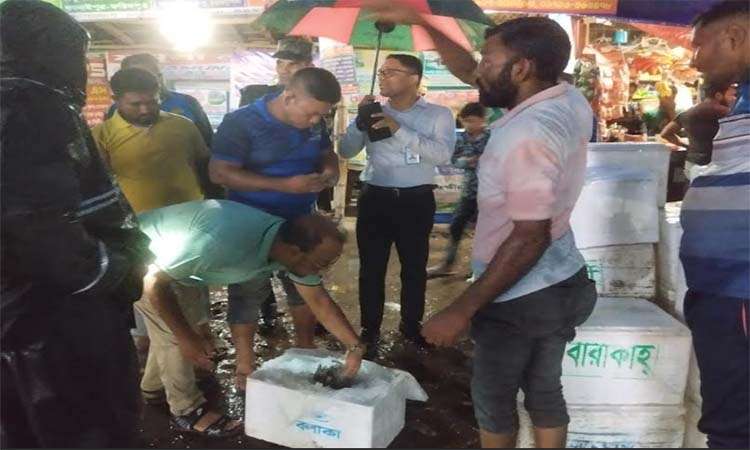 সাতক্ষীরায় ২৬০ কেজি জেলি পুশ করা চিংড়ি জব্দ, অভিযানে চাঞ্চল্য